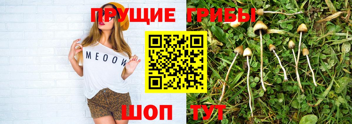 Галлюциногенные грибы ЛСД Электрогорск