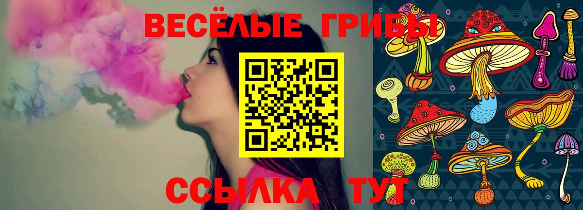 Электрогорск  Галлюциногенные грибы GOLDEN TEACHER  Вход с VPN  Галлюциногенные грибы Magic Shrooms 